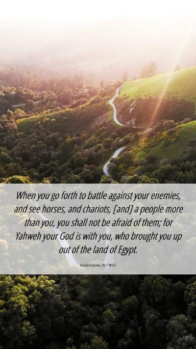 Picture 06 - Deuteronomy 20:1 WEB Mobile Phone Wallpaper - When you go forth to battle against your enemies, - Mobile Bible Verse Wallpaper
