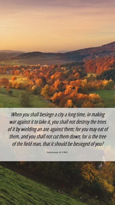 Picture 06 - Deuteronomy 20:19 WEB Mobile Phone Wallpaper - When you shall besiege a city a long time, in - Mobile Bible Verse Wallpaper