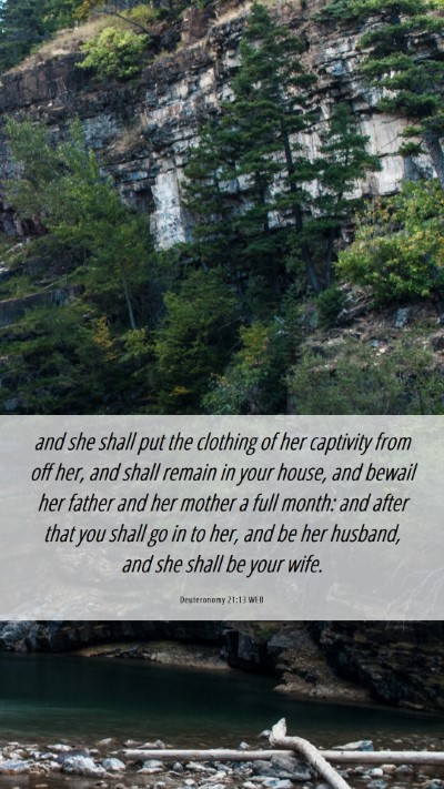 Picture 06 - Deuteronomy 21:13 WEB Mobile Phone Wallpaper - and she shall put the clothing of her captivity - Mobile Bible Verse Wallpaper
