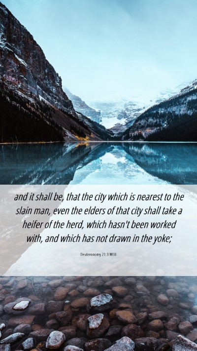Picture 06 - Deuteronomy 21:3 WEB Mobile Phone Wallpaper - and it shall be, that the city which is nearest - Mobile Bible Verse Wallpaper