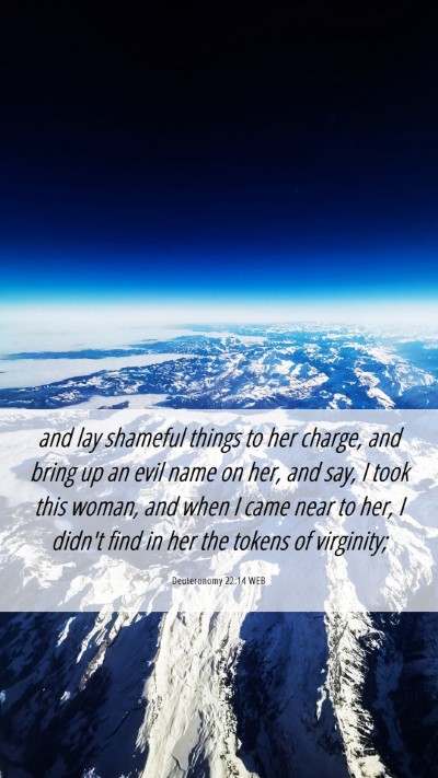 Picture 06 - Deuteronomy 22:14 WEB Mobile Phone Wallpaper - and lay shameful things to her charge, and bring - Mobile Bible Verse Wallpaper