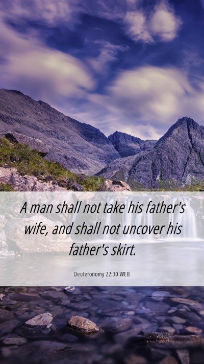 Picture 06 - Deuteronomy 22:30 WEB Mobile Phone Wallpaper - A man shall not take his father's wife, and shall - Mobile Bible Verse Wallpaper