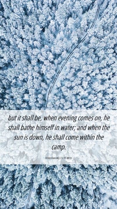 Picture 06 - Deuteronomy 23:11 WEB Mobile Phone Wallpaper - but it shall be, when evening comes on, he shall - Mobile Bible Verse Wallpaper