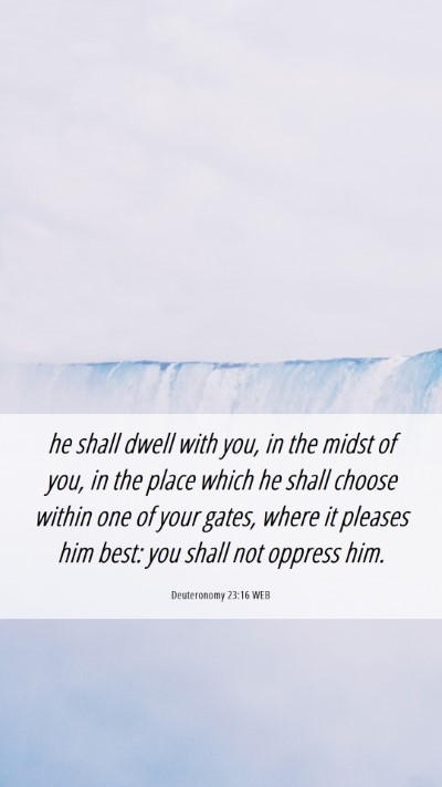 Picture 06 - Deuteronomy 23:16 WEB Mobile Phone Wallpaper - he shall dwell with you, in the midst of you, in - Mobile Bible Verse Wallpaper