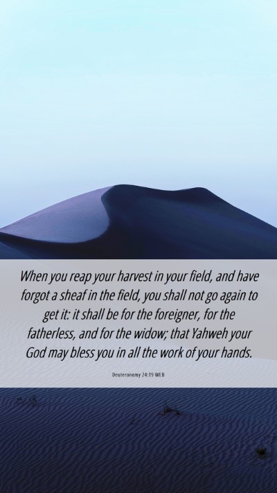 Picture 06 - Deuteronomy 24:19 WEB Mobile Phone Wallpaper - When you reap your harvest in your field, and - Mobile Bible Verse Wallpaper
