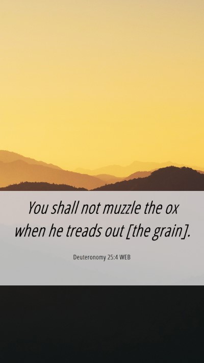 Picture 06 - Deuteronomy 25:4 WEB Mobile Phone Wallpaper - You shall not muzzle the ox when he treads out - Mobile Bible Verse Wallpaper