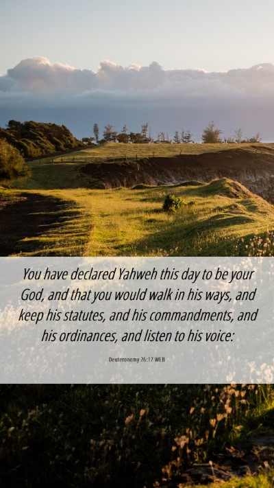 Picture 06 - Deuteronomy 26:17 WEB Mobile Phone Wallpaper - You have declared Yahweh this day to be your God, - Mobile Bible Verse Wallpaper