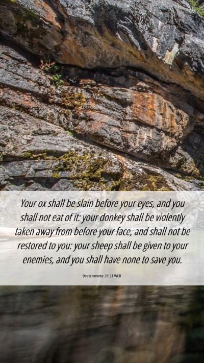Picture 06 - Deuteronomy 28:31 WEB Mobile Phone Wallpaper - Your ox shall be slain before your eyes, and you - Mobile Bible Verse Wallpaper