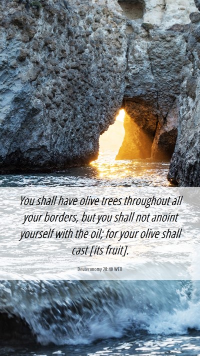 Picture 06 - Deuteronomy 28:40 WEB Mobile Phone Wallpaper - You shall have olive trees throughout all your - Mobile Bible Verse Wallpaper