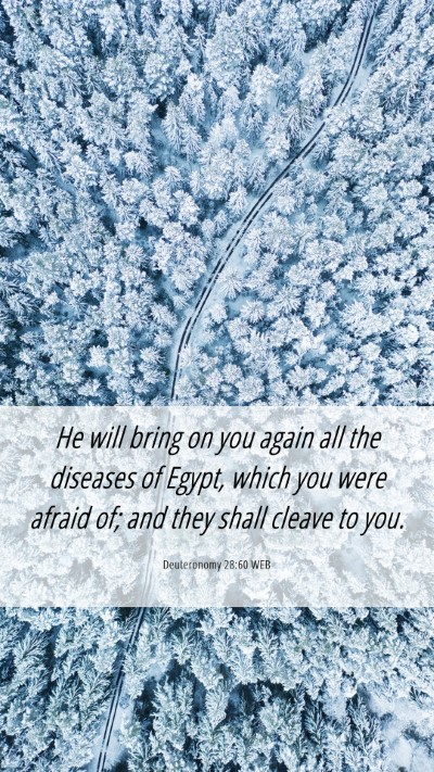 Picture 06 - Deuteronomy 28:60 WEB Mobile Phone Wallpaper - He will bring on you again all the diseases of - Mobile Bible Verse Wallpaper