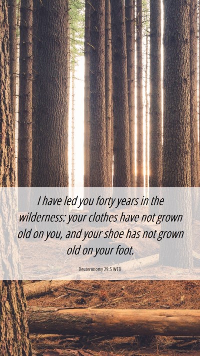 Picture 06 - Deuteronomy 29:5 WEB Mobile Phone Wallpaper - I have led you forty years in the wilderness: - Mobile Bible Verse Wallpaper