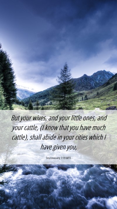 Picture 06 - Deuteronomy 3:19 WEB Mobile Phone Wallpaper - But your wives, and your little ones, and your - Mobile Bible Verse Wallpaper