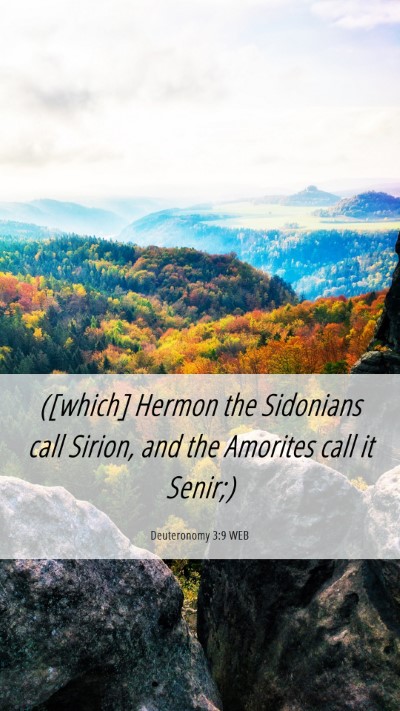 Picture 06 - Deuteronomy 3:9 WEB Mobile Phone Wallpaper - ([which] Hermon the Sidonians call Sirion, and - Mobile Bible Verse Wallpaper