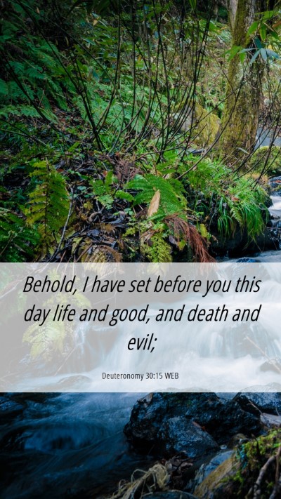 Picture 06 - Deuteronomy 30:15 WEB Mobile Phone Wallpaper - Behold, I have set before you this day life and - Mobile Bible Verse Wallpaper