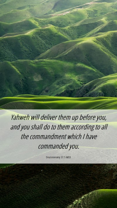 Picture 06 - Deuteronomy 31:5 WEB Mobile Phone Wallpaper - Yahweh will deliver them up before you, and you - Mobile Bible Verse Wallpaper