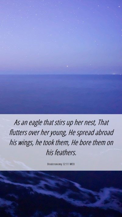 Picture 06 - Deuteronomy 32:11 WEB Mobile Phone Wallpaper - As an eagle that stirs up her nest, That flutters - Mobile Bible Verse Wallpaper