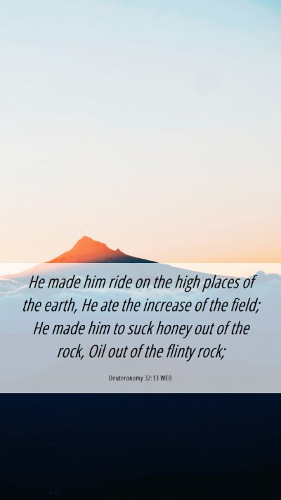 Picture 06 - Deuteronomy 32:13 WEB Mobile Phone Wallpaper - He made him ride on the high places of the earth, - Mobile Bible Verse Wallpaper