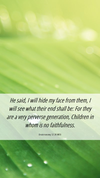 Picture 06 - Deuteronomy 32:20 WEB Mobile Phone Wallpaper - He said, I will hide my face from them, I will - Mobile Bible Verse Wallpaper