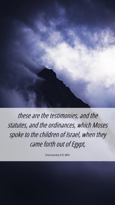 Picture 06 - Deuteronomy 4:45 WEB Mobile Phone Wallpaper - these are the testimonies, and the statutes, and - Mobile Bible Verse Wallpaper