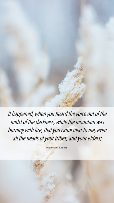 Picture 06 - Deuteronomy 5:23 WEB Mobile Phone Wallpaper - It happened, when you heard the voice out of the - Mobile Bible Verse Wallpaper