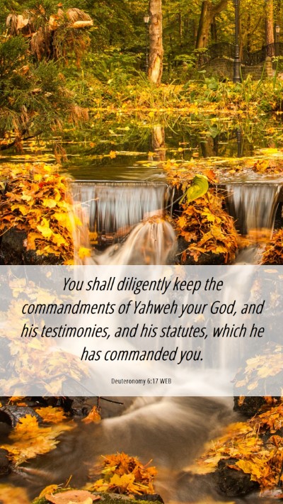 Picture 06 - Deuteronomy 6:17 WEB Mobile Phone Wallpaper - You shall diligently keep the commandments of - Mobile Bible Verse Wallpaper