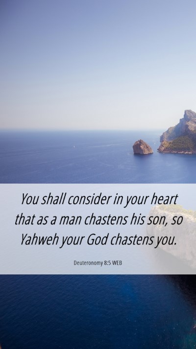 Picture 06 - Deuteronomy 8:5 WEB Mobile Phone Wallpaper - You shall consider in your heart that as a man - Mobile Bible Verse Wallpaper