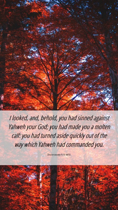 Picture 06 - Deuteronomy 9:16 WEB Mobile Phone Wallpaper - I looked, and, behold, you had sinned against - Mobile Bible Verse Wallpaper