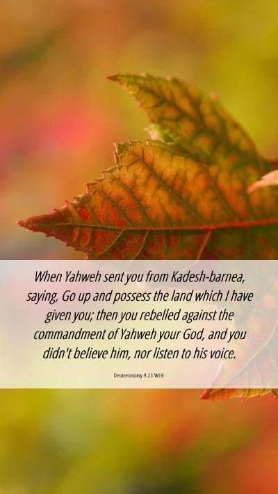 Picture 06 - Deuteronomy 9:23 WEB Mobile Phone Wallpaper - When Yahweh sent you from Kadesh-barnea, saying, - Mobile Bible Verse Wallpaper