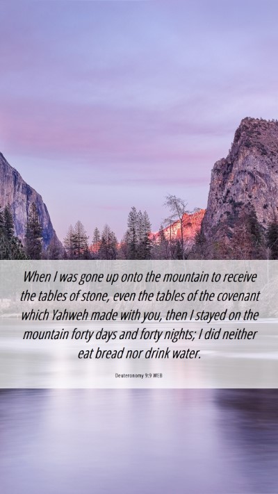 Picture 06 - Deuteronomy 9:9 WEB Mobile Phone Wallpaper - When I was gone up onto the mountain to receive - Mobile Bible Verse Wallpaper