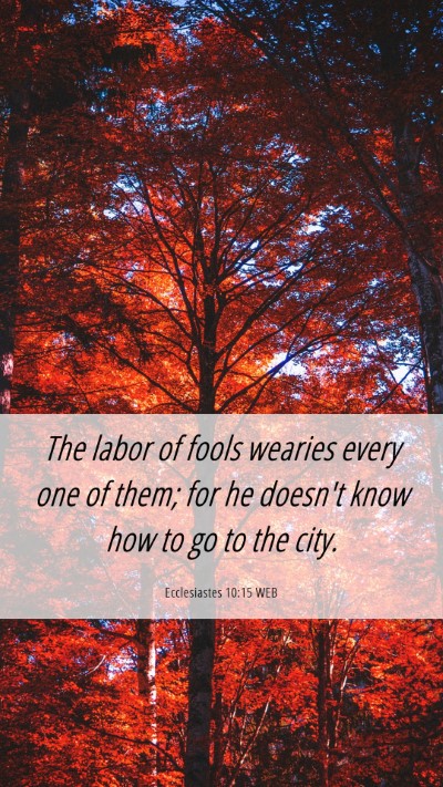 Picture 06 - Ecclesiastes 10:15 WEB Mobile Phone Wallpaper - The labor of fools wearies every one of them; for - Mobile Bible Verse Wallpaper