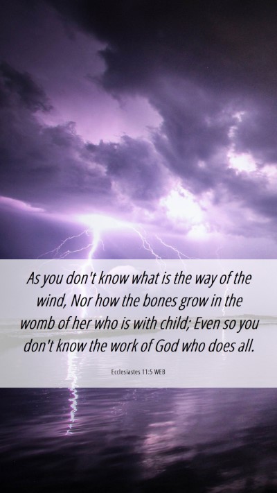 Picture 06 - Ecclesiastes 11:5 WEB Mobile Phone Wallpaper - As you don't know what is the way of the wind, - Mobile Bible Verse Wallpaper