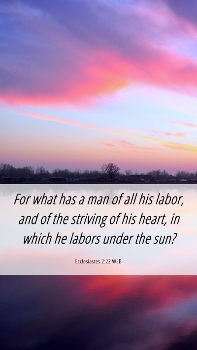 Picture 06 - Ecclesiastes 2:22 WEB Mobile Phone Wallpaper - For what has a man of all his labor, and of the - Mobile Bible Verse Wallpaper