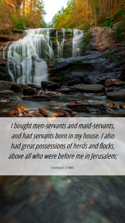 Picture 06 - Ecclesiastes 2:7 WEB Mobile Phone Wallpaper - I bought men-servants and maid-servants, and had - Mobile Bible Verse Wallpaper