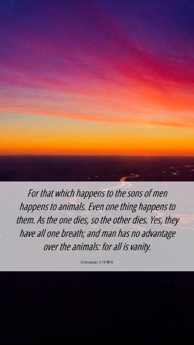 Picture 06 - Ecclesiastes 3:19 WEB Mobile Phone Wallpaper - For that which happens to the sons of men happens - Mobile Bible Verse Wallpaper