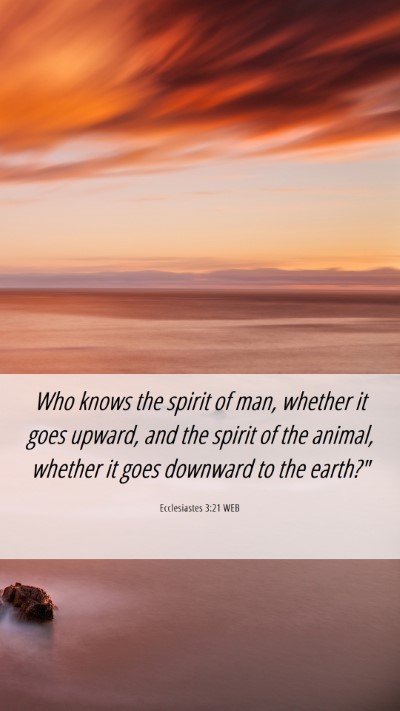 Picture 06 - Ecclesiastes 3:21 WEB Mobile Phone Wallpaper - Who knows the spirit of man, whether it goes - Mobile Bible Verse Wallpaper