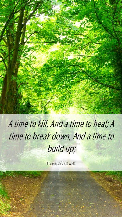 Picture 06 - Ecclesiastes 3:3 WEB Mobile Phone Wallpaper - A time to kill, And a time to heal; A time to - Mobile Bible Verse Wallpaper