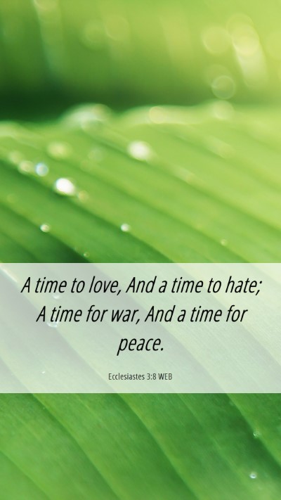 Picture 06 - Ecclesiastes 3:8 WEB Mobile Phone Wallpaper - A time to love, And a time to hate; A time for - Mobile Bible Verse Wallpaper