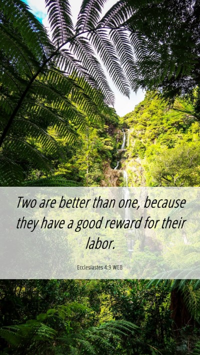 Picture 06 - Ecclesiastes 4:9 WEB Mobile Phone Wallpaper - Two are better than one, because they have a good - Mobile Bible Verse Wallpaper