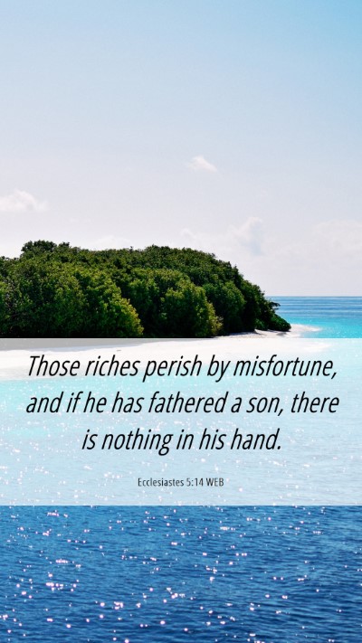 Picture 06 - Ecclesiastes 5:14 WEB Mobile Phone Wallpaper - Those riches perish by misfortune, and if he has - Mobile Bible Verse Wallpaper