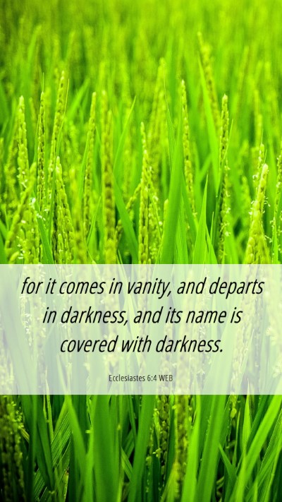 Picture 06 - Ecclesiastes 6:4 WEB Mobile Phone Wallpaper - for it comes in vanity, and departs in darkness, - Mobile Bible Verse Wallpaper