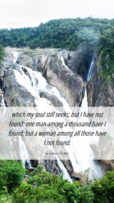 Picture 06 - Ecclesiastes 7:28 WEB Mobile Phone Wallpaper - which my soul still seeks; but I have not found: - Mobile Bible Verse Wallpaper