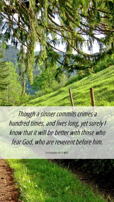 Picture 06 - Ecclesiastes 8:12 WEB Mobile Phone Wallpaper - Though a sinner commits crimes a hundred times, - Mobile Bible Verse Wallpaper