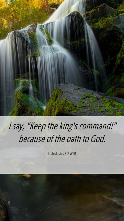 Picture 06 - Ecclesiastes 8:2 WEB Mobile Phone Wallpaper - I say, 