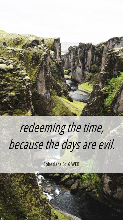 Picture 06 - Ephesians 5:16 WEB Mobile Phone Wallpaper - redeeming the time, because the days are - Mobile Bible Verse Wallpaper