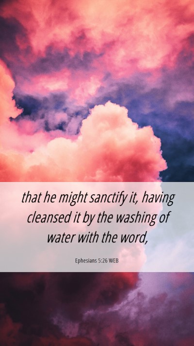 Picture 06 - Ephesians 5:26 WEB Mobile Phone Wallpaper - that he might sanctify it, having cleansed it by - Mobile Bible Verse Wallpaper