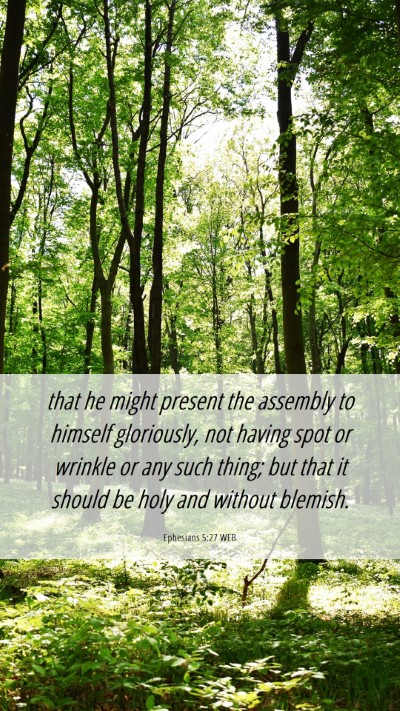 Picture 06 - Ephesians 5:27 WEB Mobile Phone Wallpaper - that he might present the assembly to himself - Mobile Bible Verse Wallpaper
