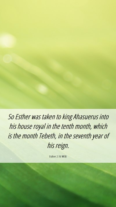 Picture 06 - Esther 2:16 WEB Mobile Phone Wallpaper - So Esther was taken to king Ahasuerus into his - Mobile Bible Verse Wallpaper