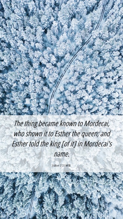 Picture 06 - Esther 2:22 WEB Mobile Phone Wallpaper - The thing became known to Mordecai, who shown it - Mobile Bible Verse Wallpaper
