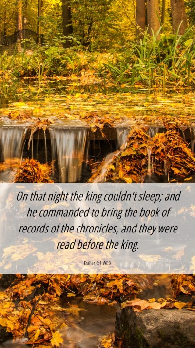 Picture 06 - Esther 6:1 WEB Mobile Phone Wallpaper - On that night the king couldn't sleep; and he - Mobile Bible Verse Wallpaper