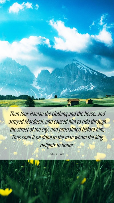 Picture 06 - Esther 6:11 WEB Mobile Phone Wallpaper - Then took Haman the clothing and the horse, and - Mobile Bible Verse Wallpaper